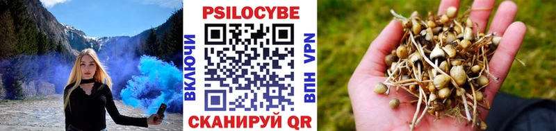 Галлюциногенные грибы GOLDEN TEACHER  Сельцо 
